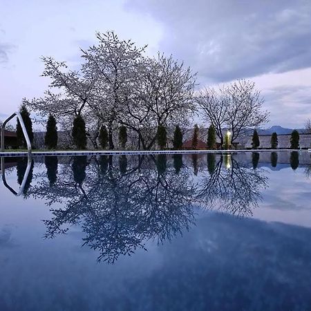 Soare-N Maramures Budesti  Экстерьер фото