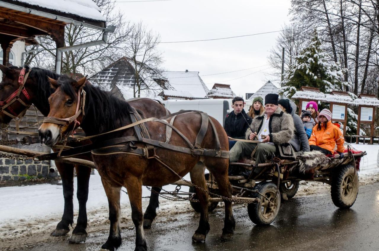 Soare-N Maramures Budesti  Экстерьер фото